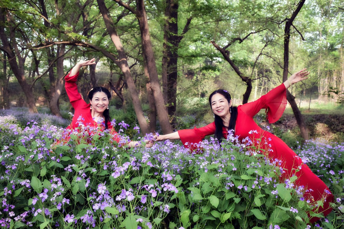 Picture 22825216.jpg Picture 22825216.jpg