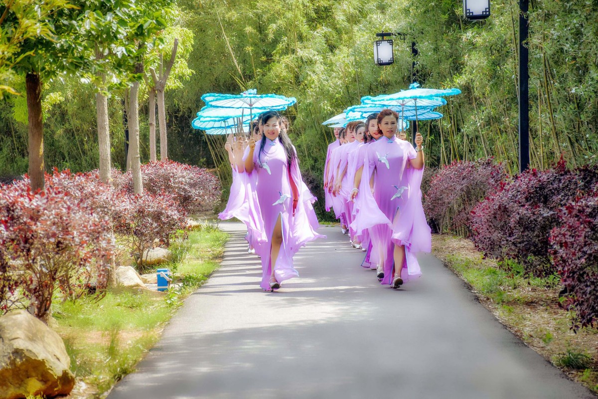 DSC_0154.JPG DSC_0154.JPG