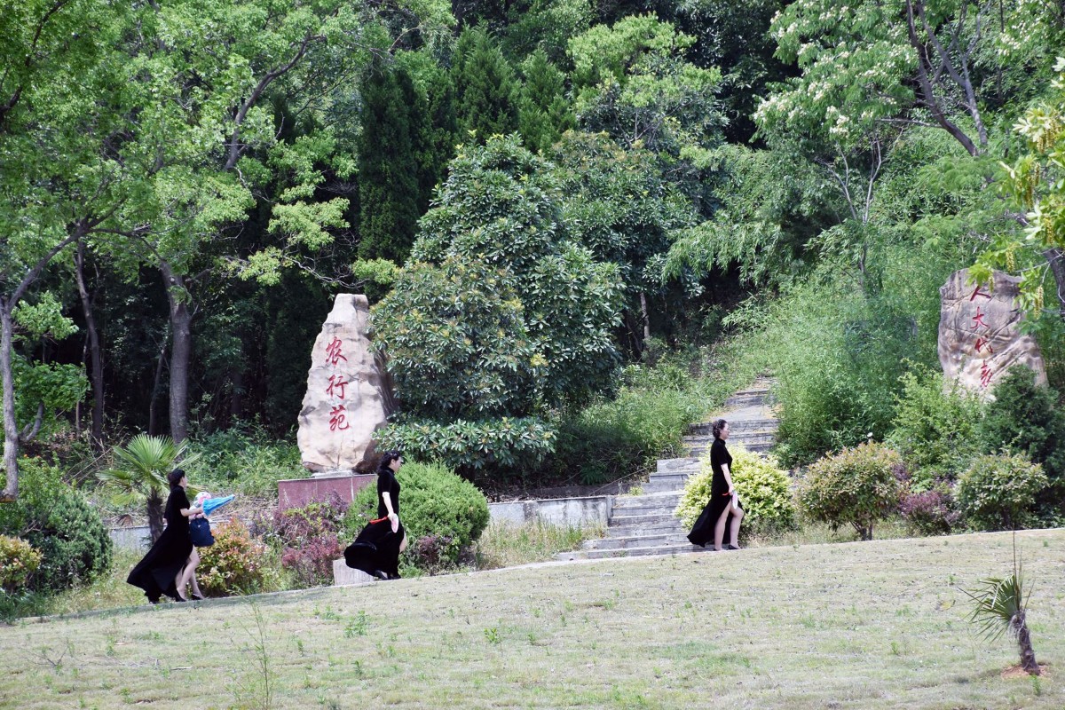 DSC_0378.JPG DSC_0378.JPG