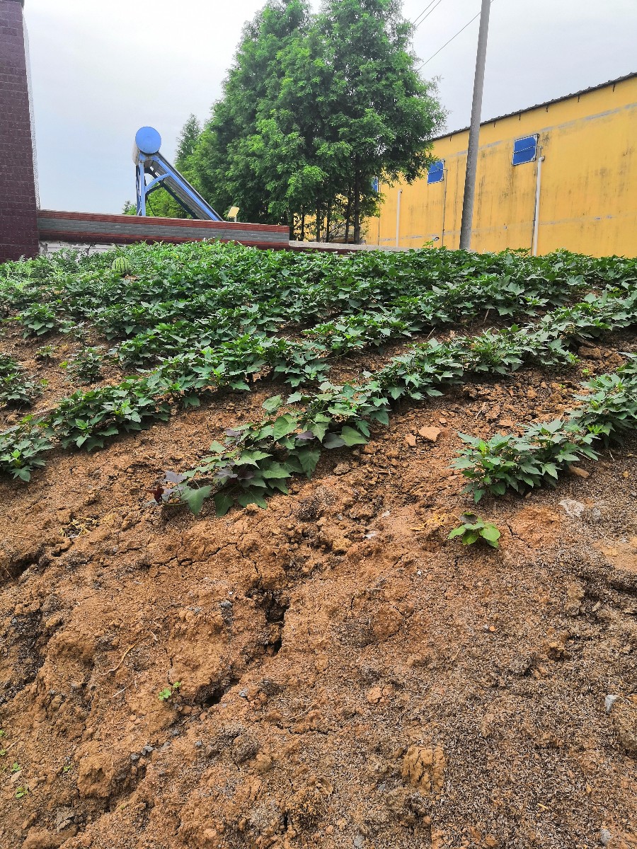 微信圖片_20190621153227.jpg