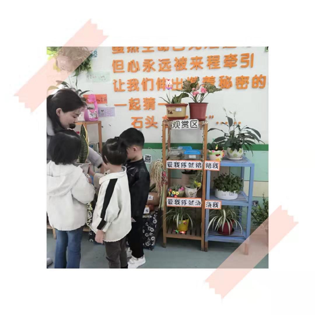 微信圖片_20191012162254.jpg 微信圖片_20191012162254.jpg