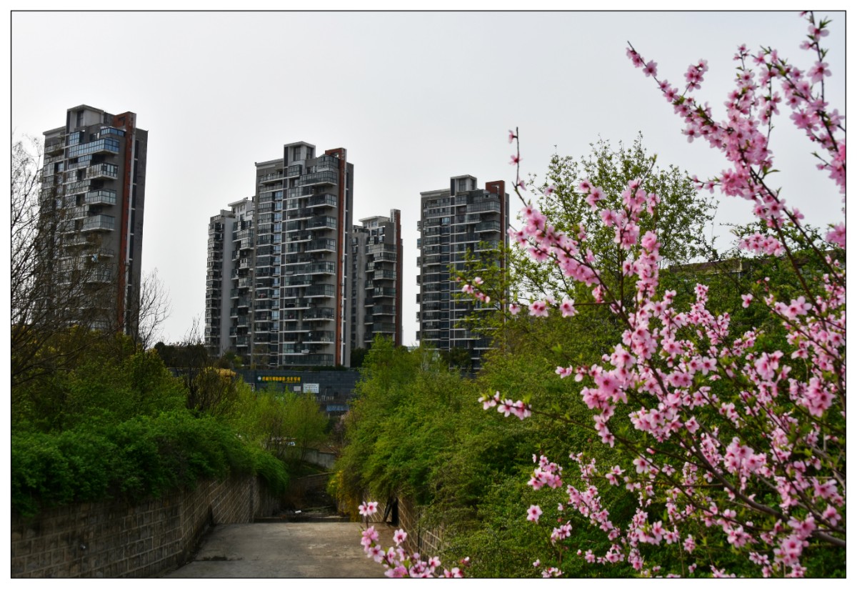 DSC_07622_wps圖片.jpg