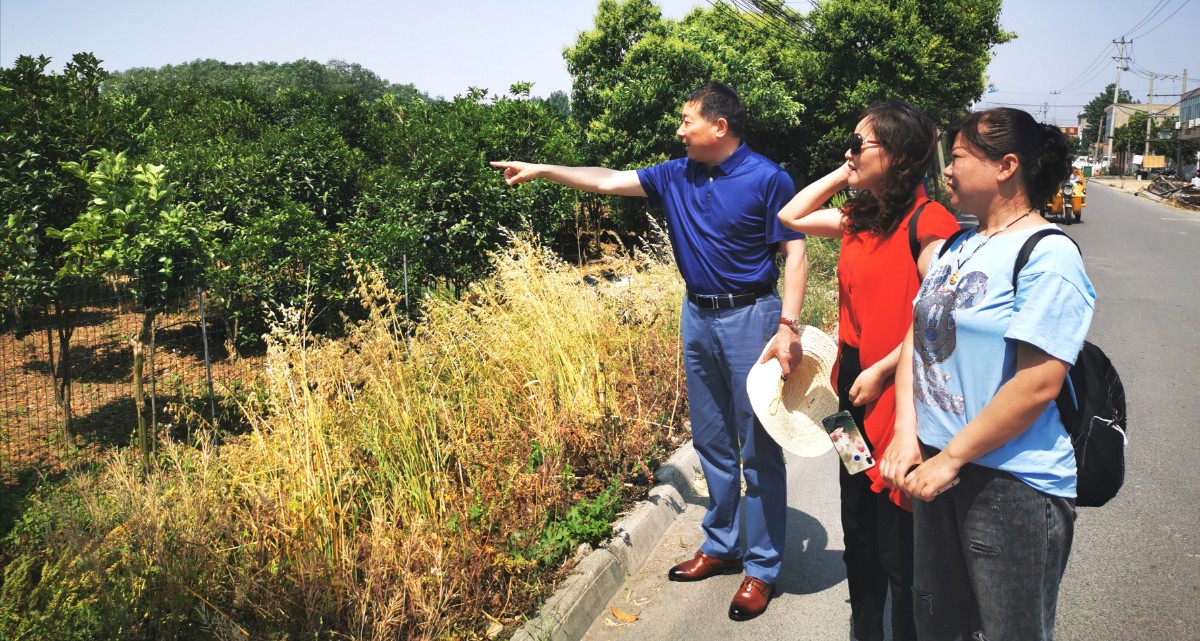 微信圖片_20200525175834.jpg 微信圖片_20200525175834.jpg