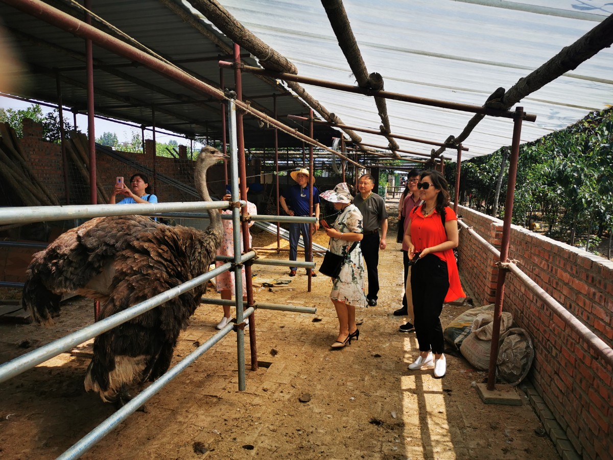 微信圖片_20200525175434.jpg 微信圖片_20200525175434.jpg