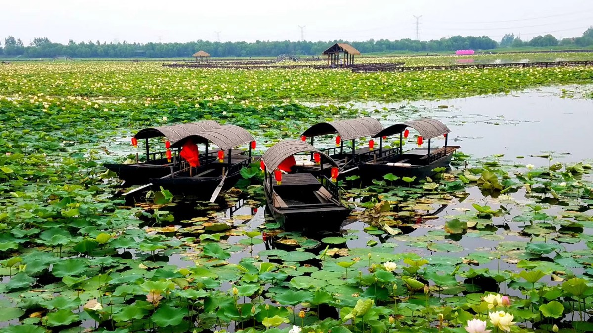 微信圖片_20200522145237.jpg 微信圖片_20200522145237.jpg