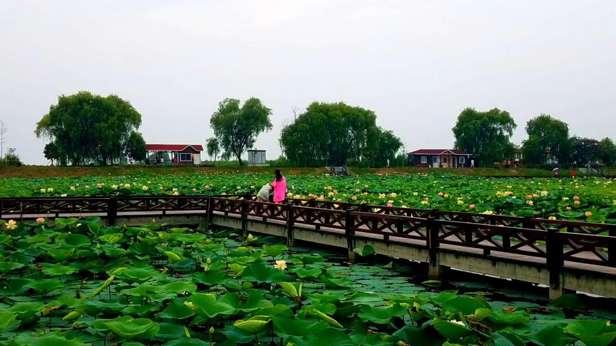 微信圖片_20200522145202.jpg 微信圖片_20200522145202.jpg