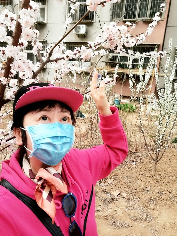 蘭仰望櫻桃花好_mr1587278568487.jpg 蘭仰望櫻桃花好_mr1587278568487.jpg