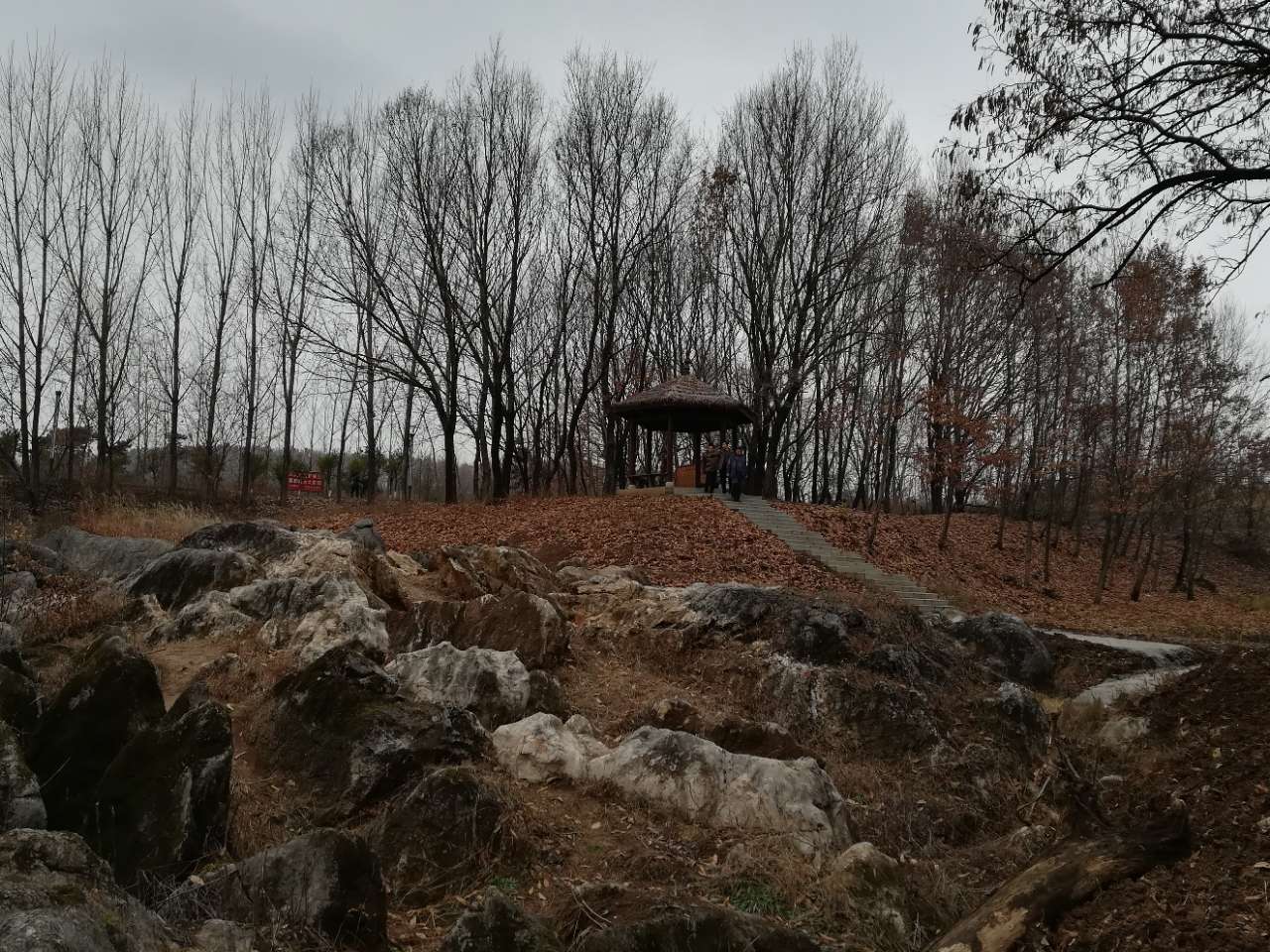 微信圖片_20200612161726.jpg 微信圖片_20200612161726.jpg