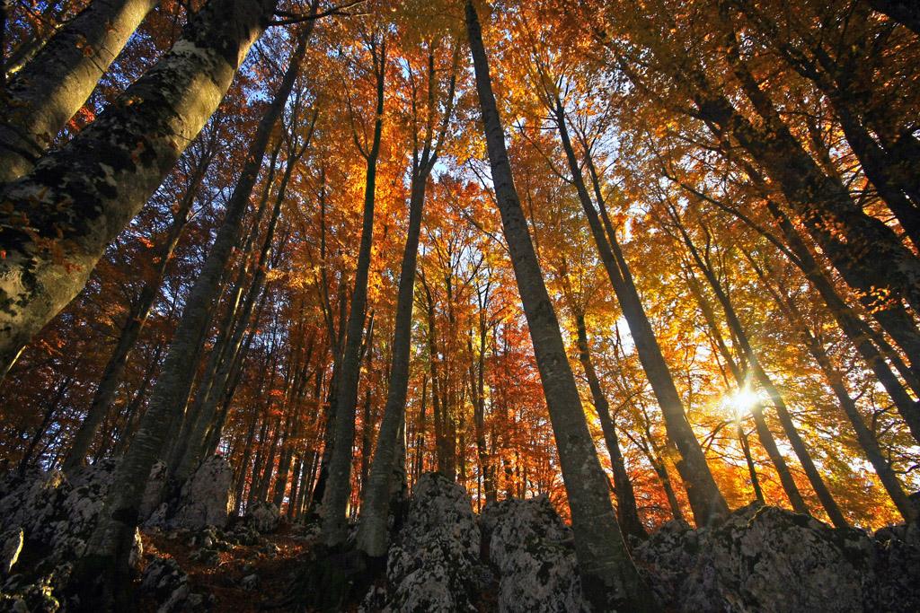 微信圖片_20200507105234.jpg 微信圖片_20200507105234.jpg