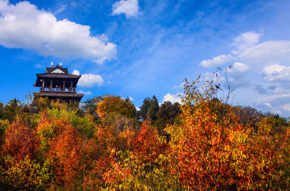 微信圖片_20191110095853.jpg 微信圖片_20191110095853.jpg