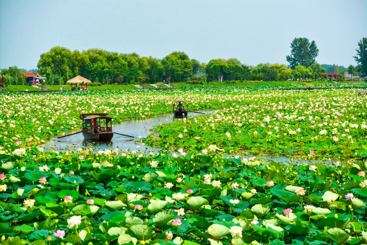 微信圖片_20200516212255.jpg 微信圖片_20200516212255.jpg