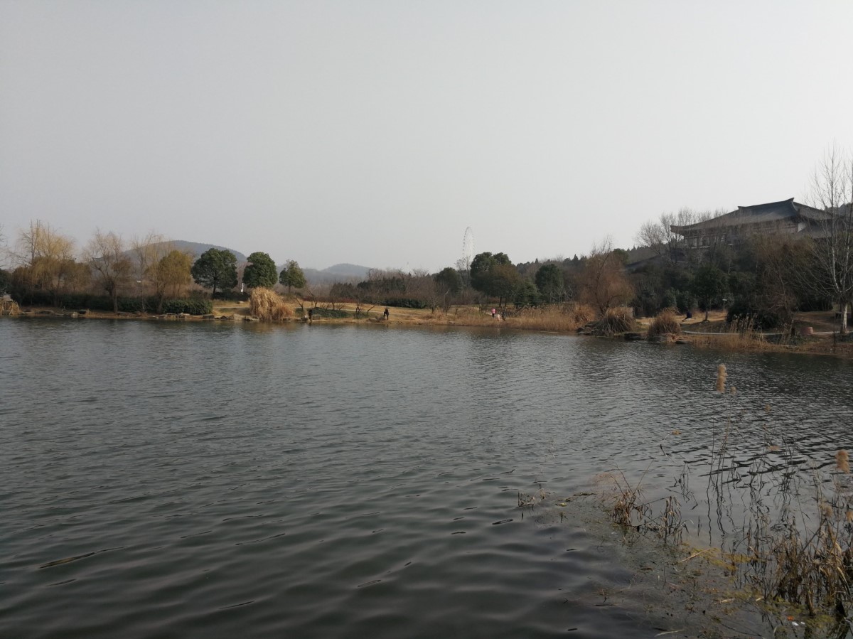 微信圖片_20200723185921.jpg 微信圖片_20200723185921.jpg