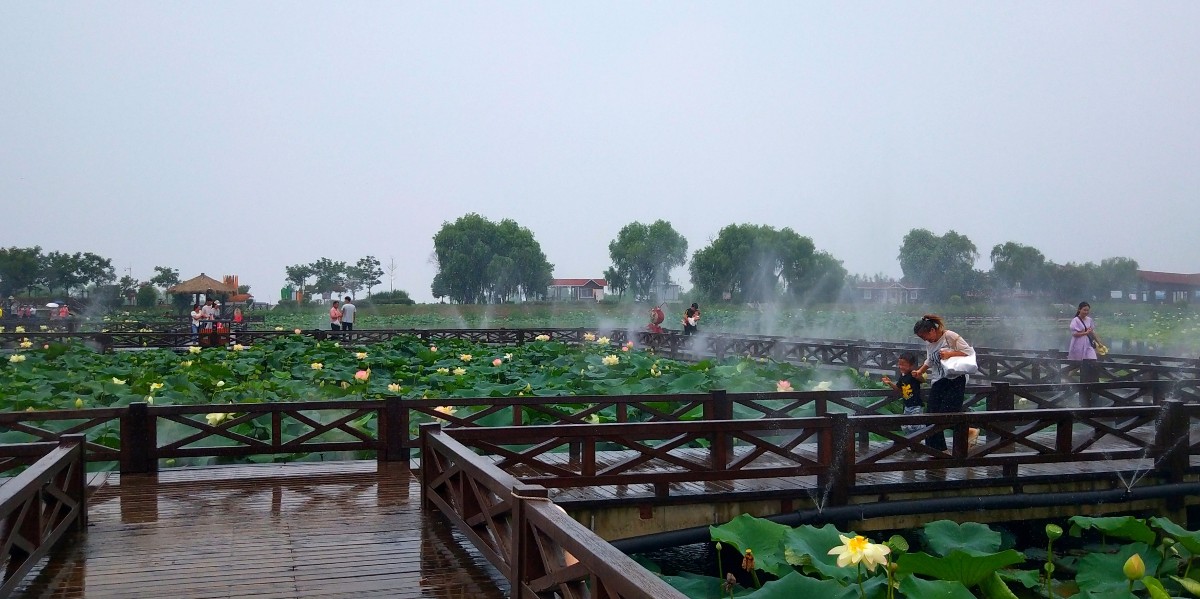 IMG_20200727_205903.jpg IMG_20200727_205903.jpg