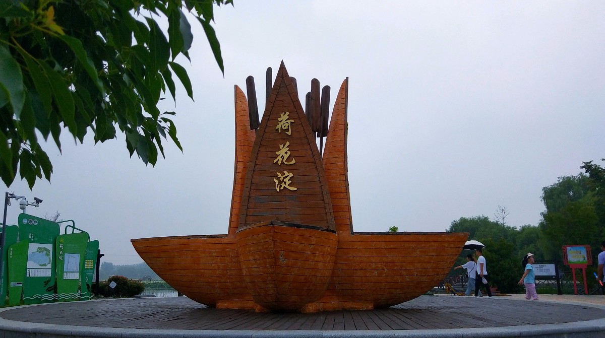 IMG_20200727_204714.jpg IMG_20200727_204714.jpg