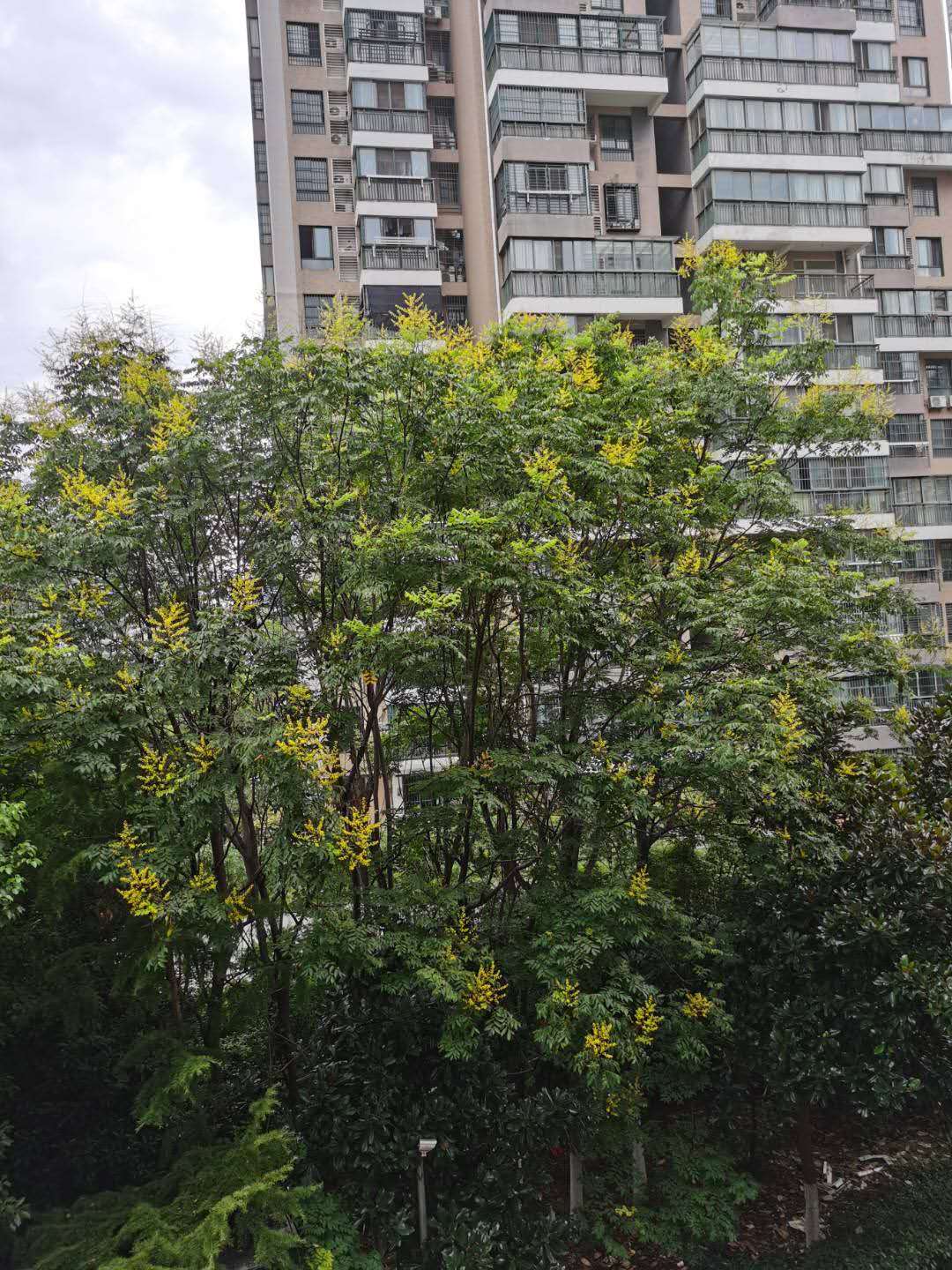 微信圖片_20200815184442.jpg 微信圖片_20200815184442.jpg