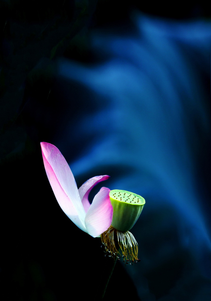 01A17A2603-1 - 副本_調整大小.jpg