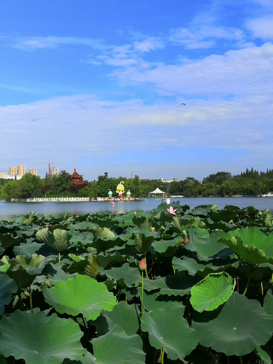 微信圖片_20200903125351.jpg 微信圖片_20200903125351.jpg