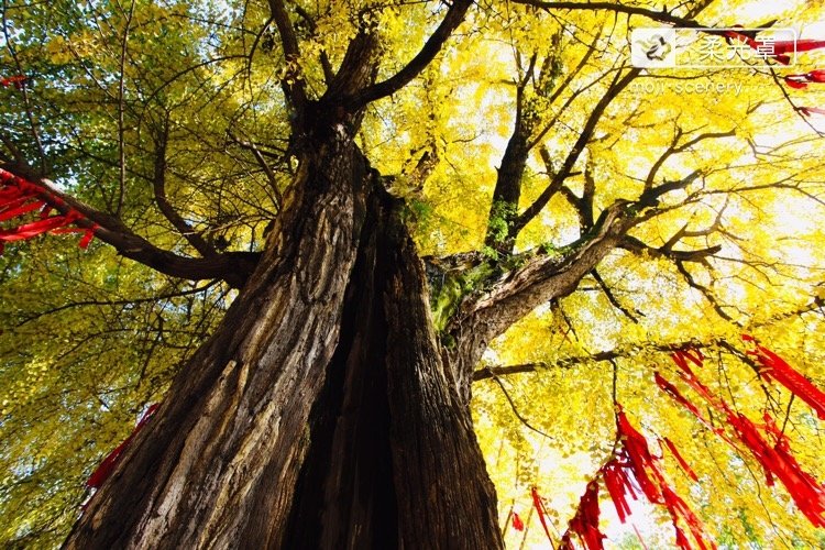 微信圖片_20200914152445.jpg 微信圖片_20200914152445.jpg