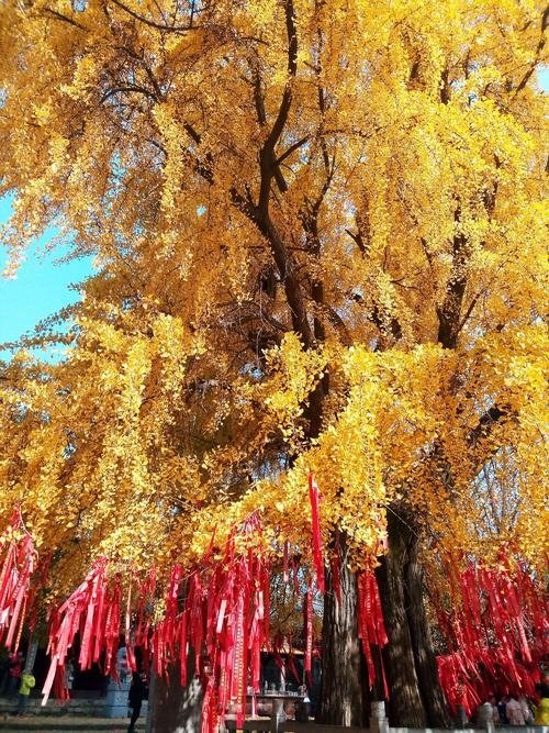 微信圖片_20200914152719.jpg 微信圖片_20200914152719.jpg