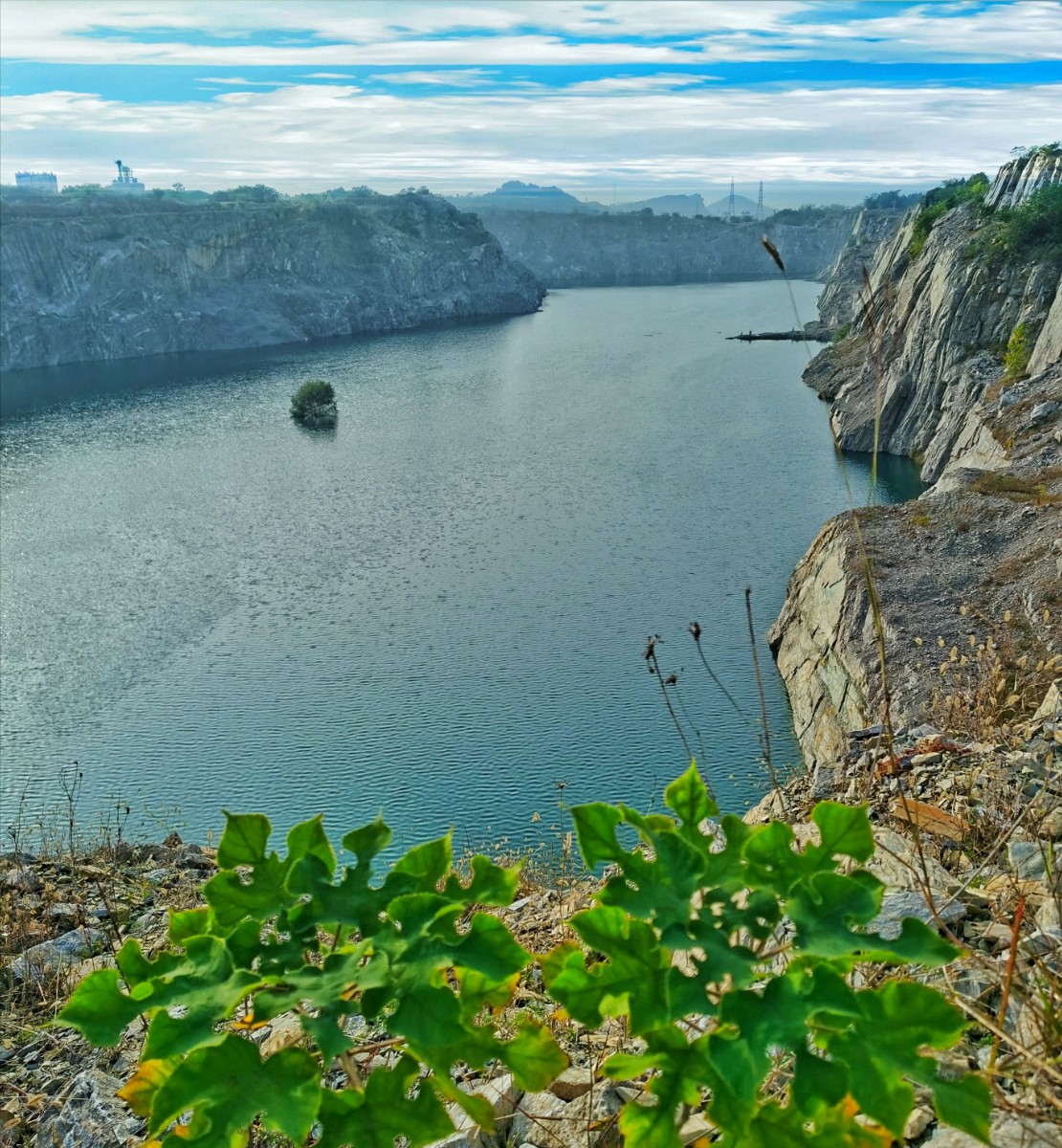 IMG_20201022_091128-01.jpeg IMG_20201022_091128-01.jpeg