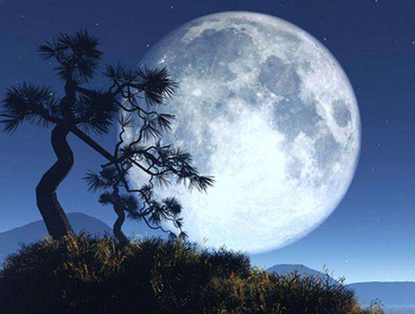 timg (32).jpg timg (32).jpg