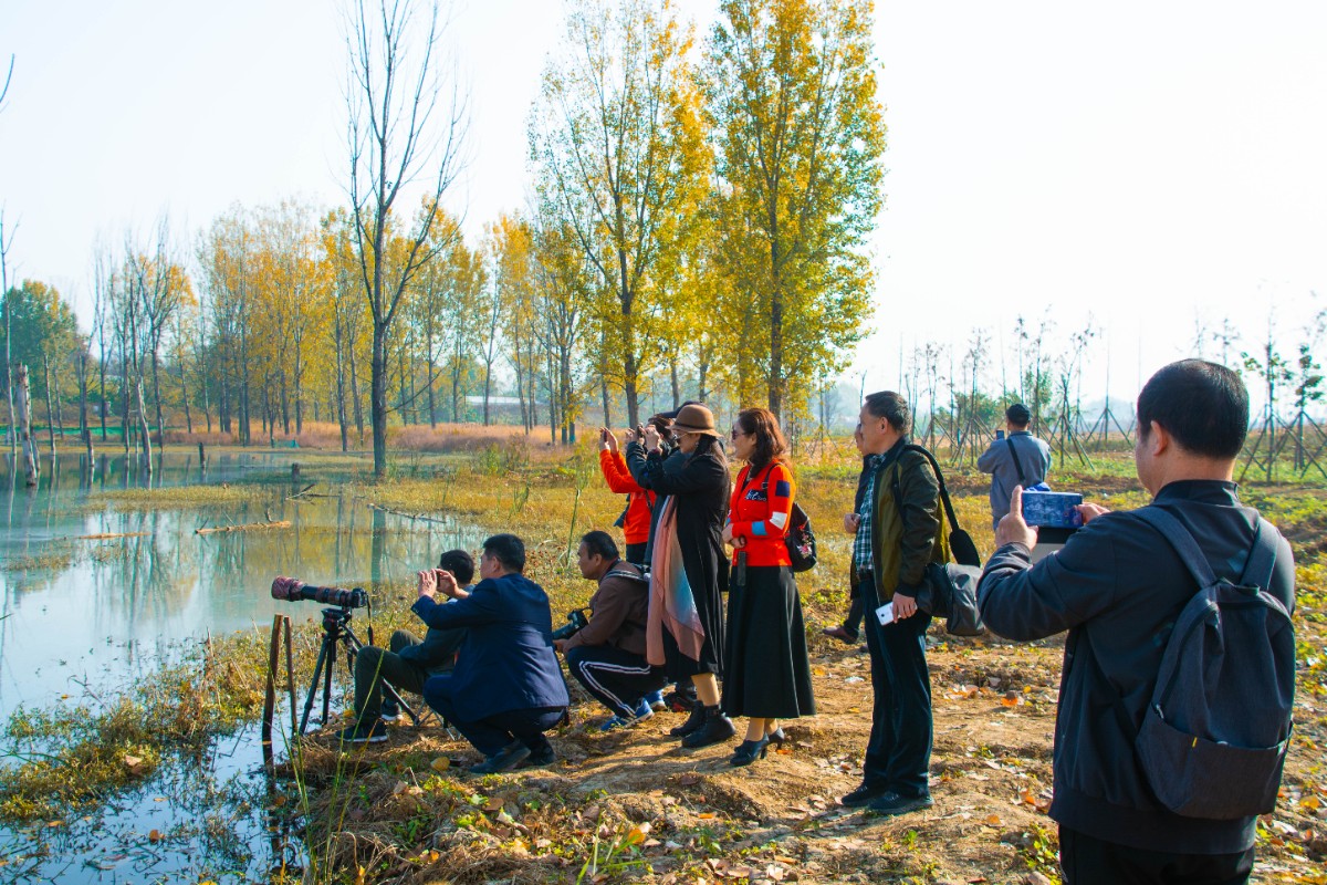 mmexport1604895432505.jpg mmexport1604895432505.jpg