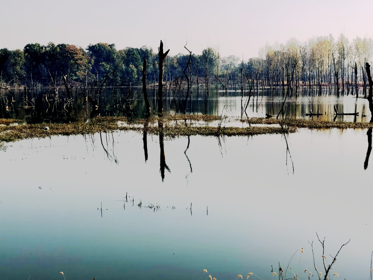 IMG_20201108_085530-01.jpeg IMG_20201108_085530-01.jpeg