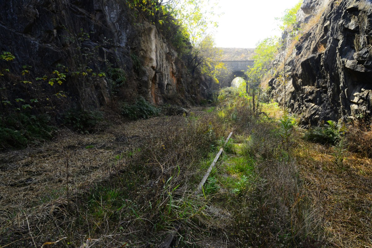 mmexport1604895935378.jpg mmexport1604895935378.jpg