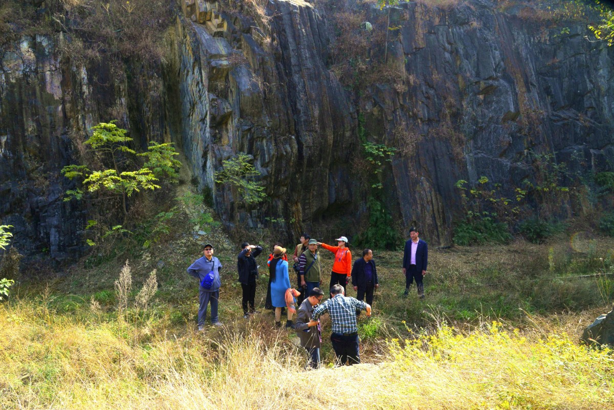 IMG_20201109_151549.jpg IMG_20201109_151549.jpg