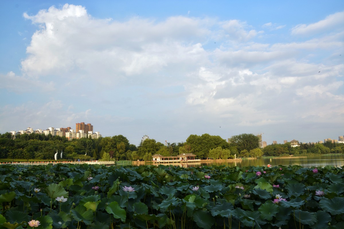 微信圖片_20200506152932.jpg 微信圖片_20200506152932.jpg