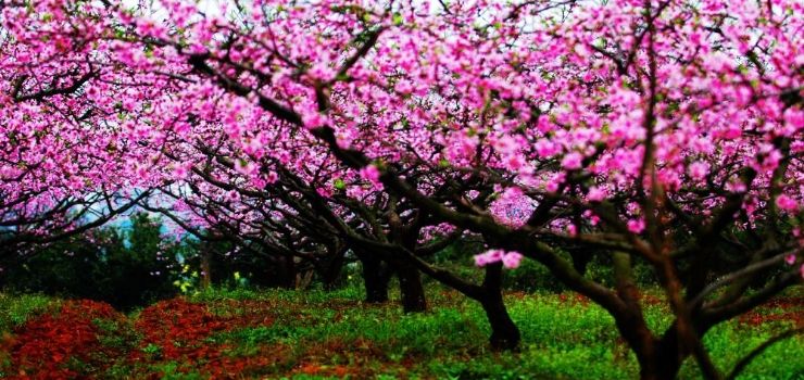 微信圖片_20201123141353.jpg 微信圖片_20201123141353.jpg