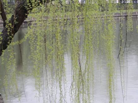 微信圖片_20201203131003.jpg 微信圖片_20201203131003.jpg