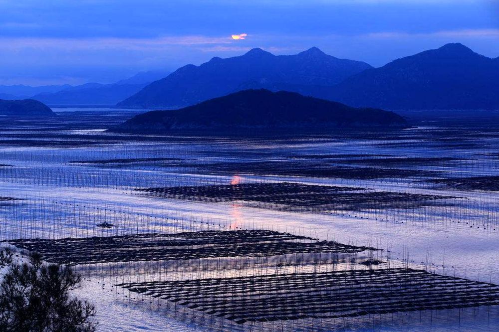 timg-2.jpeg timg-2.jpeg