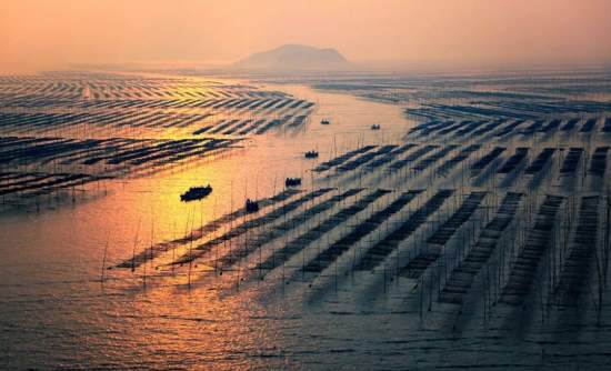 timg-3.jpeg timg-3.jpeg