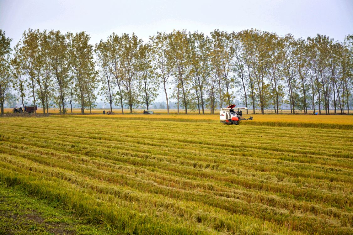 微信圖片_20200507105214.jpg 微信圖片_20200507105214.jpg