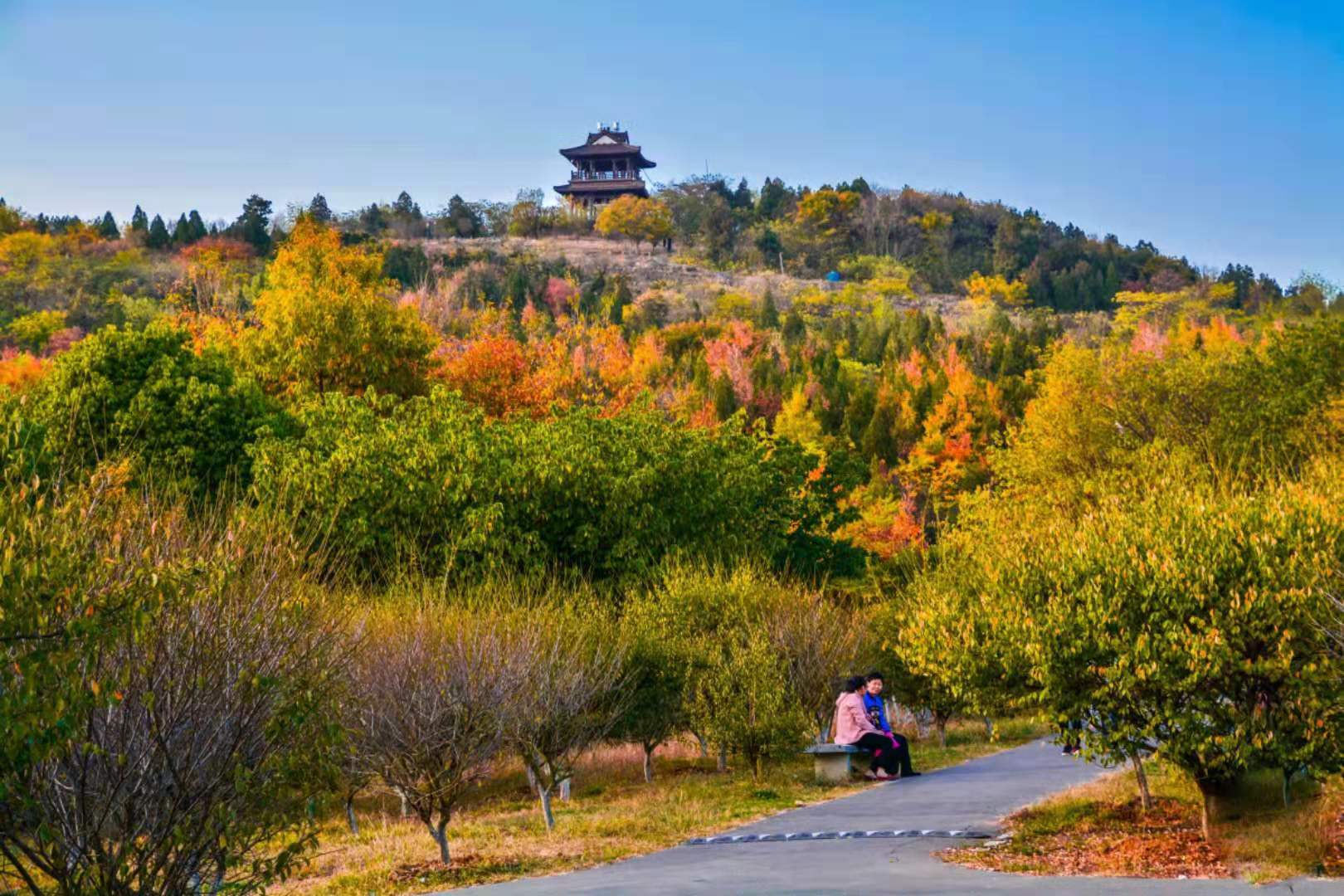 微信圖片_20210104042149.jpg 微信圖片_20210104042149.jpg