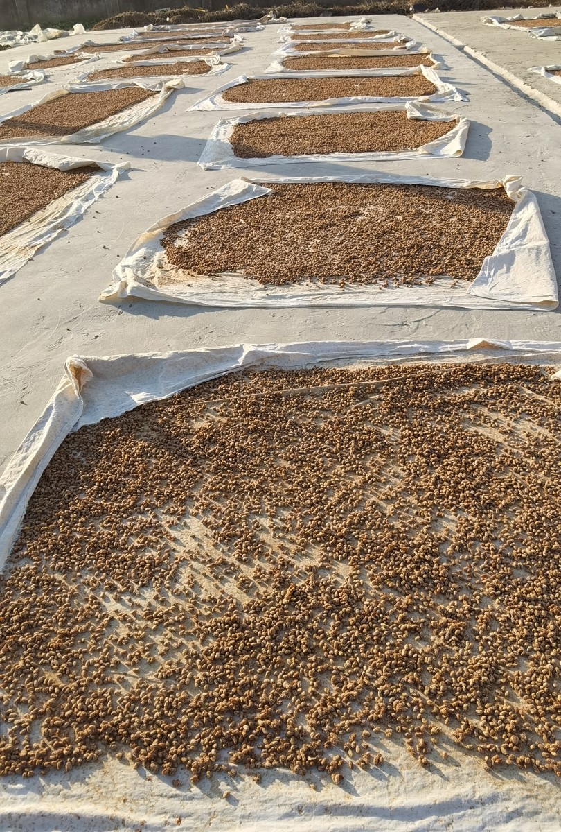 IMG_20210117_160738.jpg IMG_20210117_160738.jpg