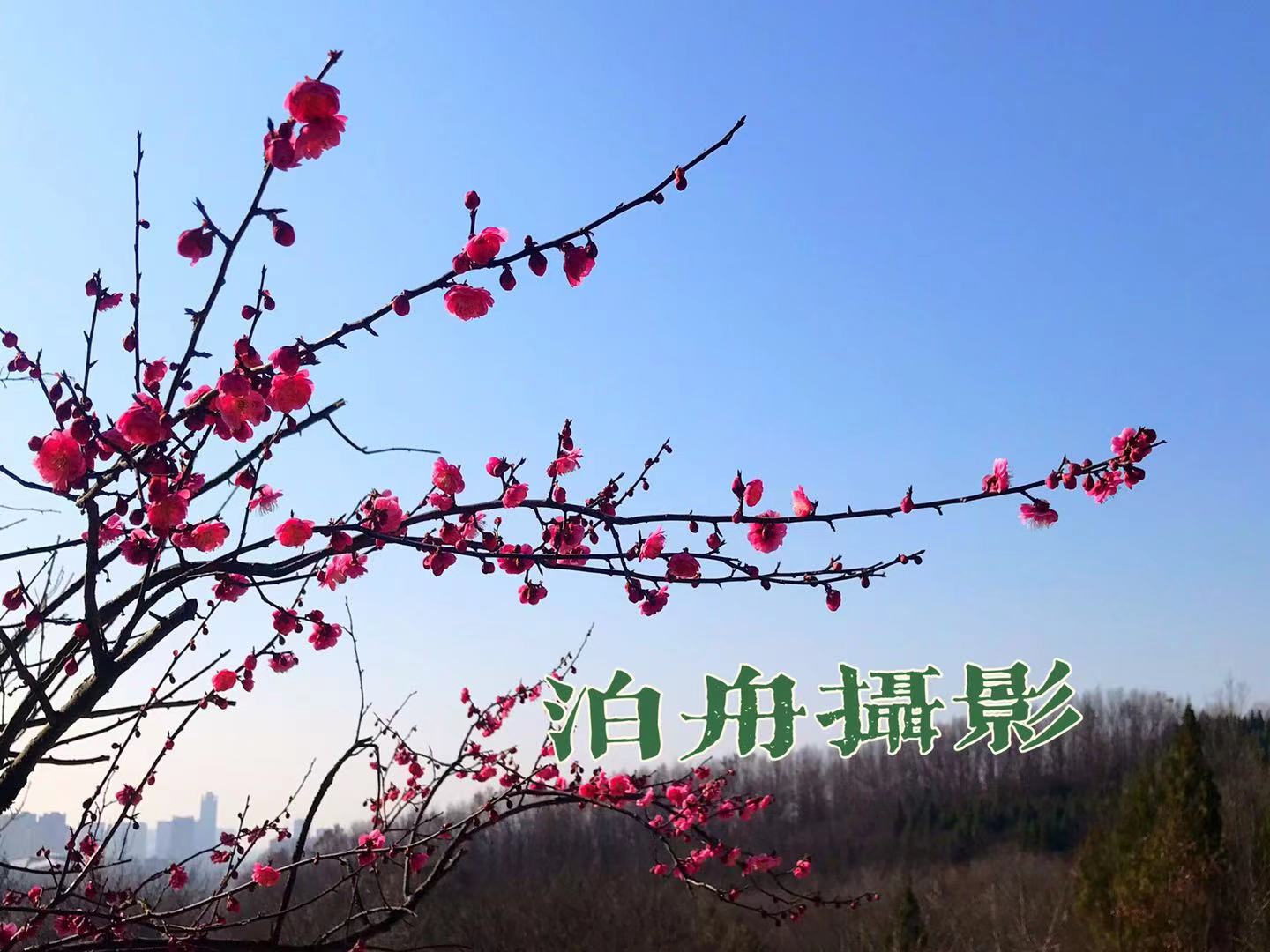 微信圖片_20210224104256.jpg