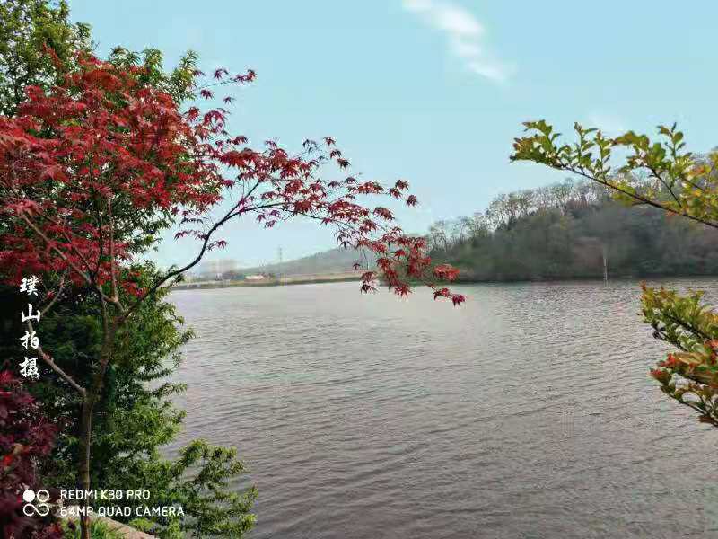 微信圖片_20210418133537.jpg 微信圖片_20210418133537.jpg