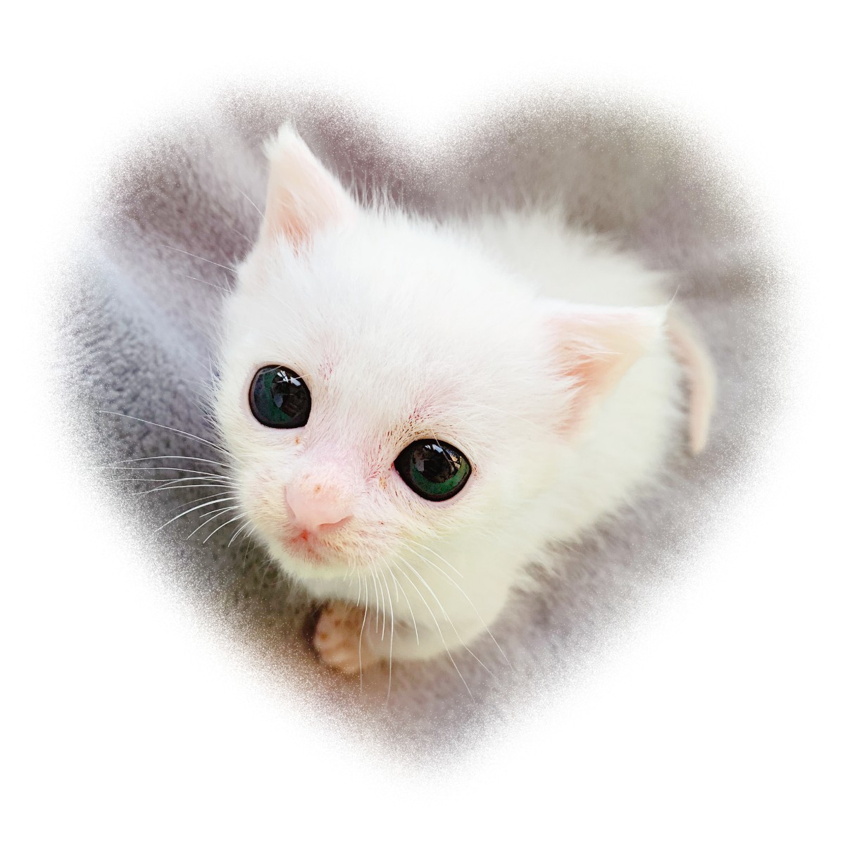 mmexport1620600029753_mh1620600141024.jpg mmexport1620600029753_mh1620600141024.jpg