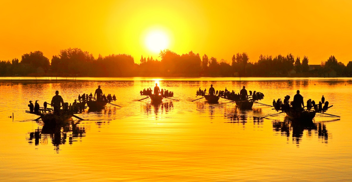 IMG_1763 - 副本 - 副本.JPG