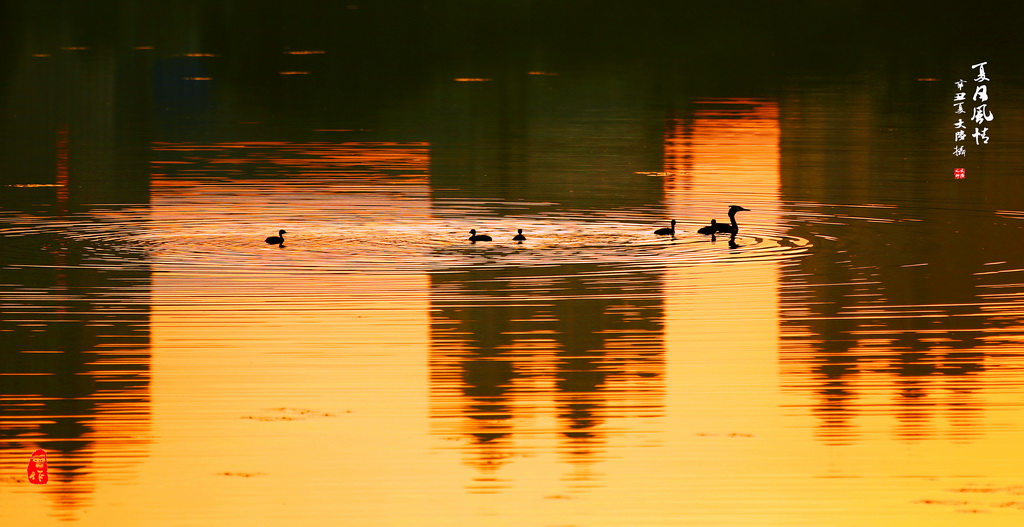 A17A6552-1 - 副本_調整大小.jpg