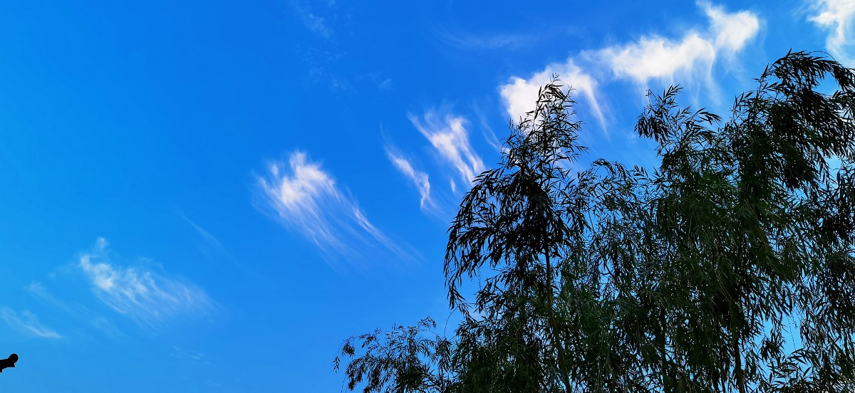 IMG_20210602_184214_mh1622636503111.jpg IMG_20210602_184214_mh1622636503111.jpg