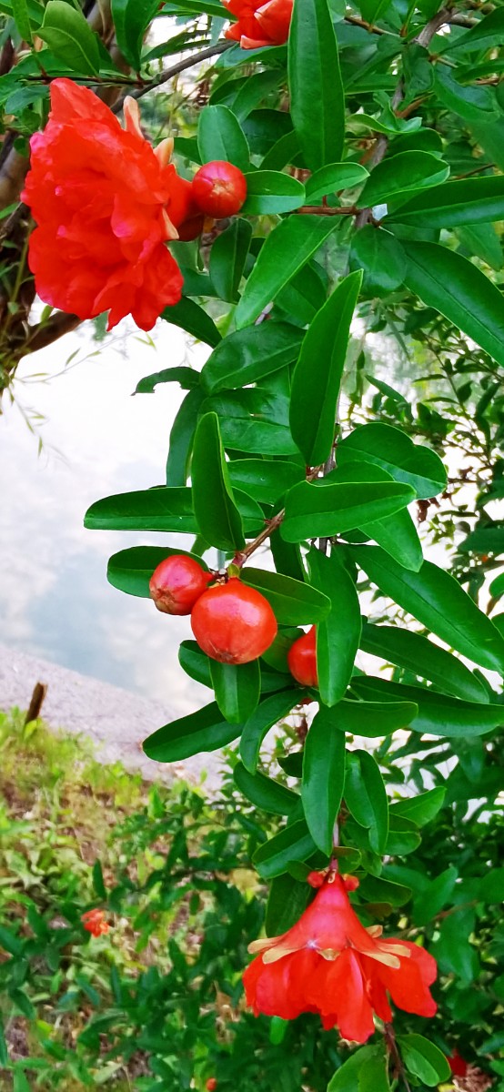 IMG_20210602_184427_mh1622636441571.jpg IMG_20210602_184427_mh1622636441571.jpg