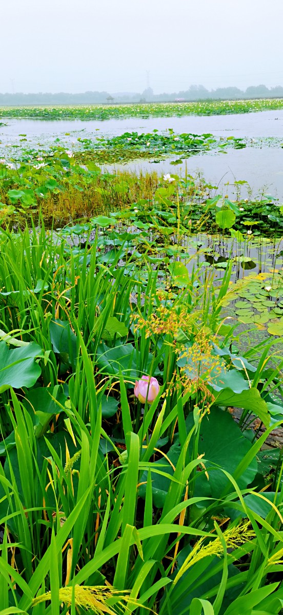 微信圖片_202106291721092.jpg