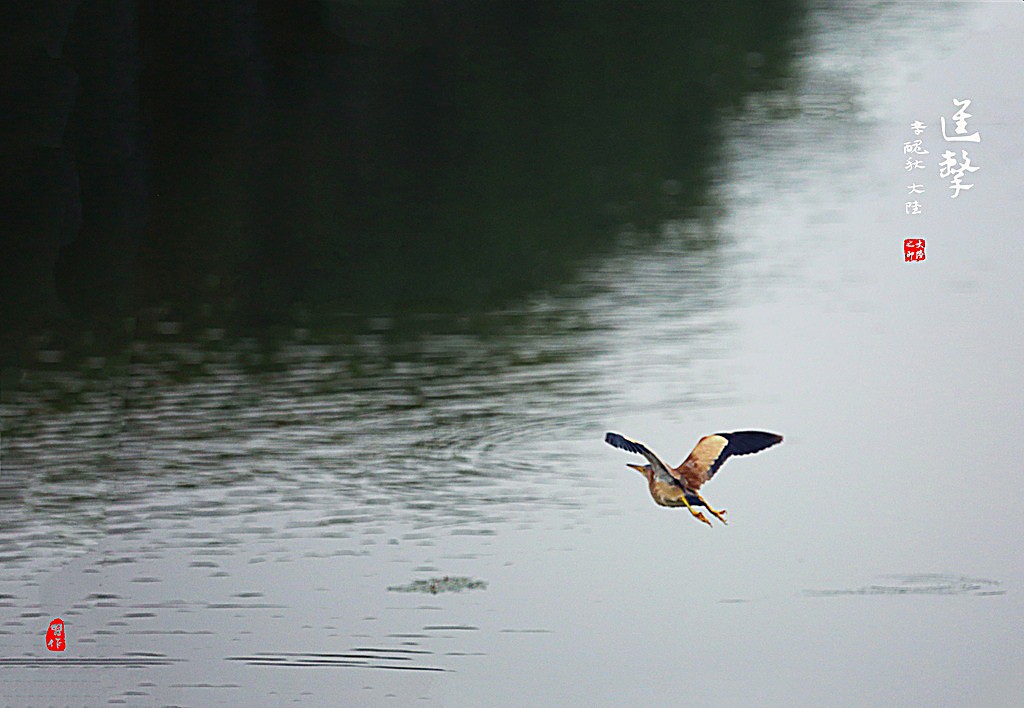 A17A7662 - 副本_調整大小.JPG