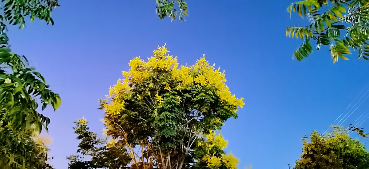 微信圖片_202109150733472.jpg 微信圖片_202109150733472.jpg