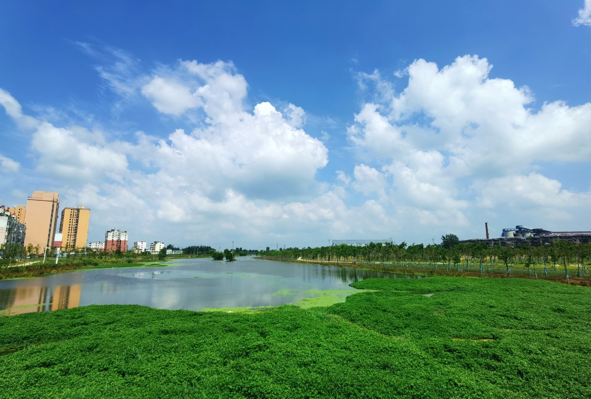 IMG_20210805_105037_edit_250150571757662.jpg IMG_20210805_105037_edit_250150571757662.jpg