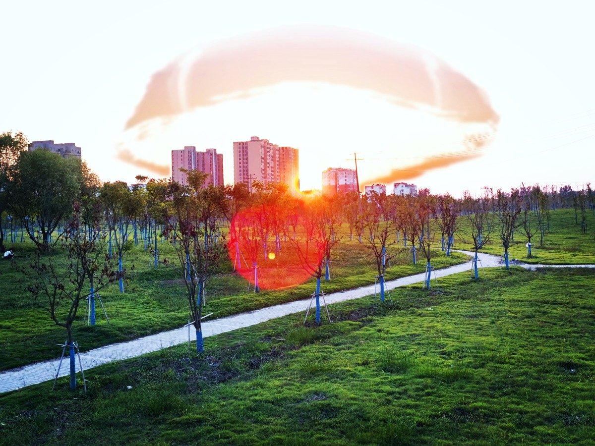 IMG_20210913_180905_edit_83217350560218.jpg IMG_20210913_180905_edit_83217350560218.jpg