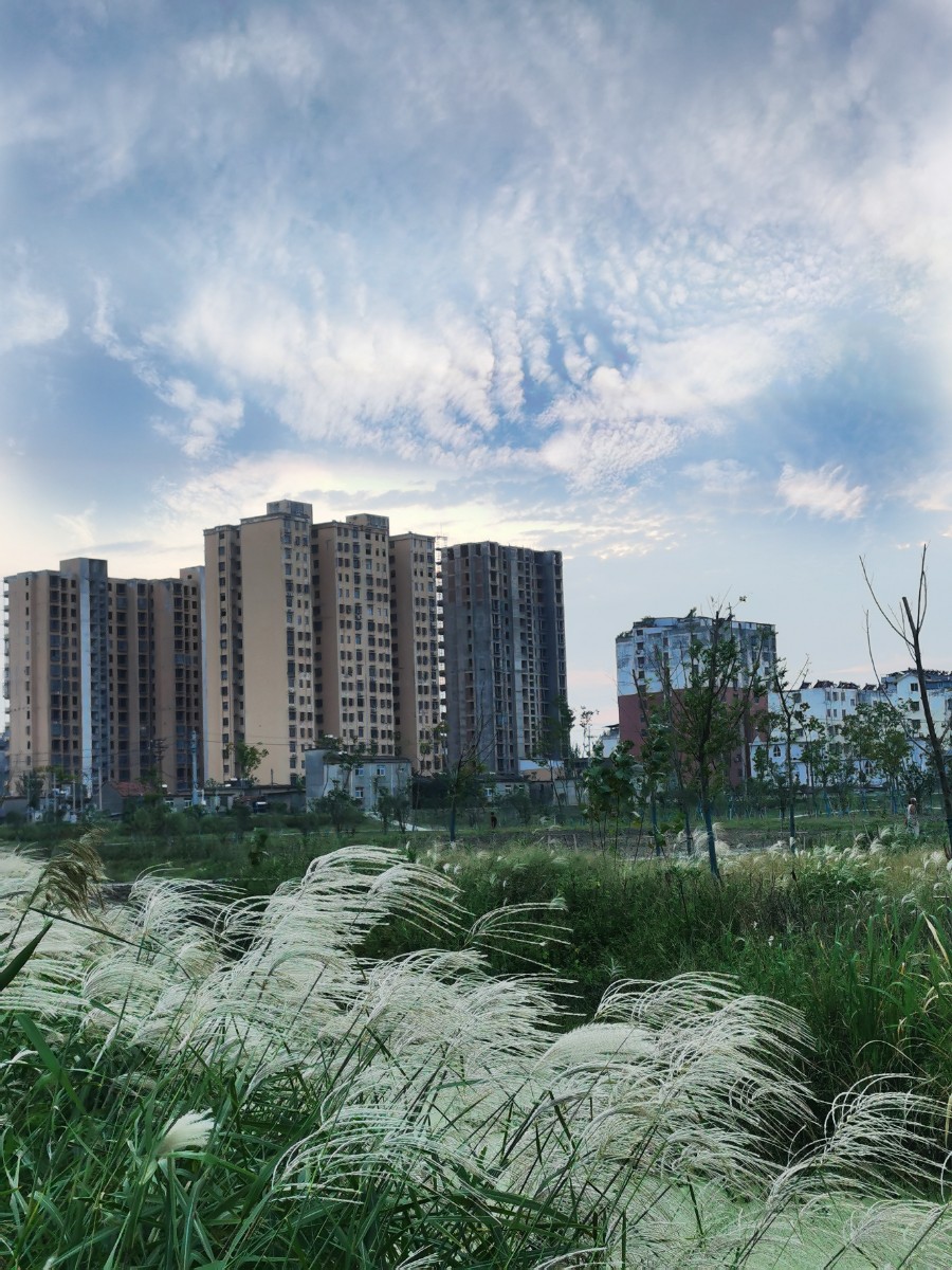 IMG_20210924_180515-01.jpeg IMG_20210924_180515-01.jpeg